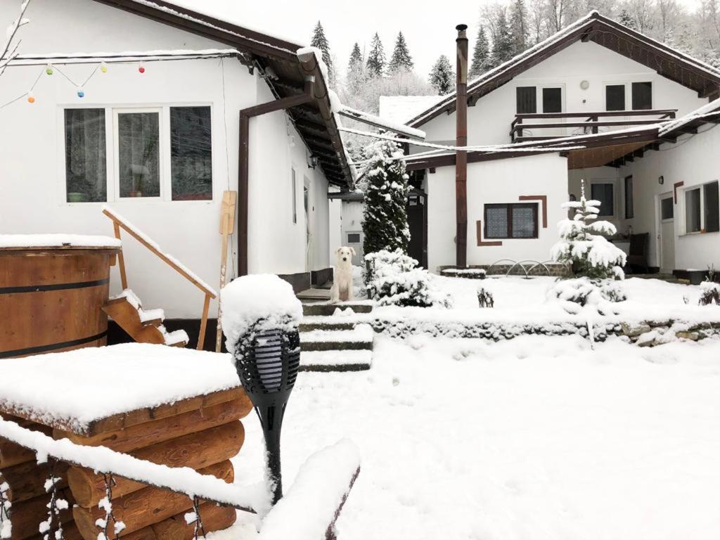 Podul De Brazi - Fir Bridge Lodge