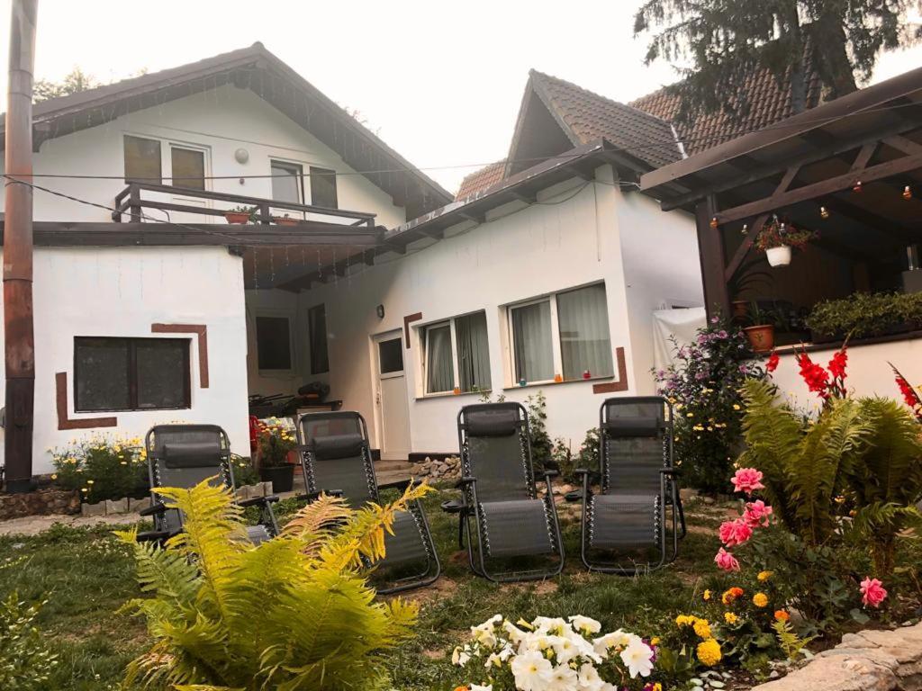 Podul De Brazi - Fir Bridge Lodge *