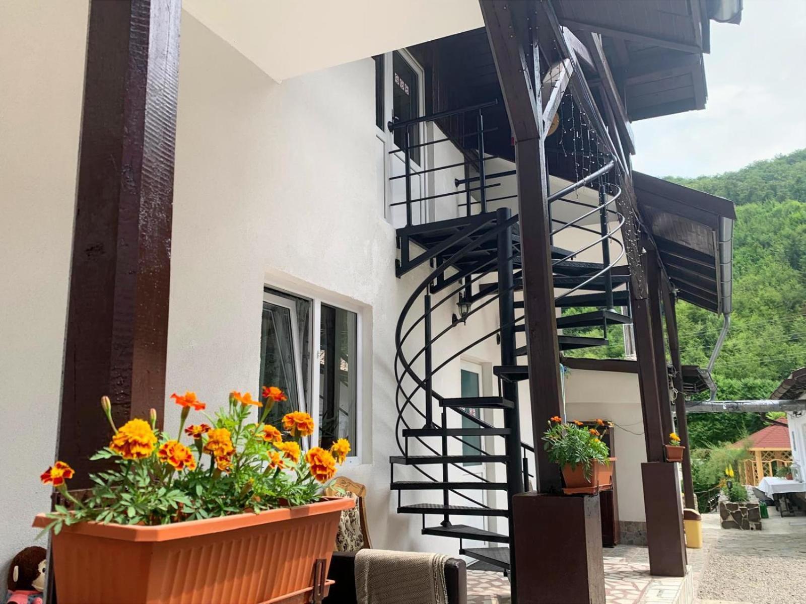 Podul De Brazi - Fir Bridge Lodge *